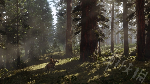 荒野大镖客2线上模式奖章怎么获取（荒野大镖客2线上奖章有什么用）