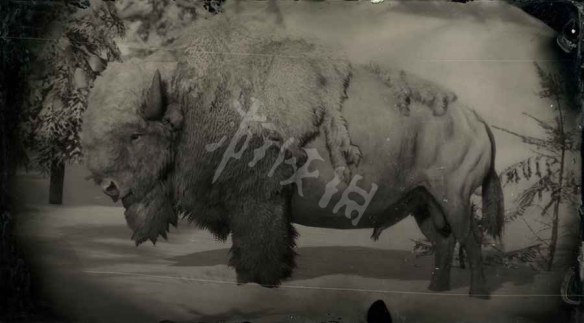 荒野大镖客2传奇动物图鉴大全 荒野大镖客2传奇动物位置在哪 传说巨型短吻鳄