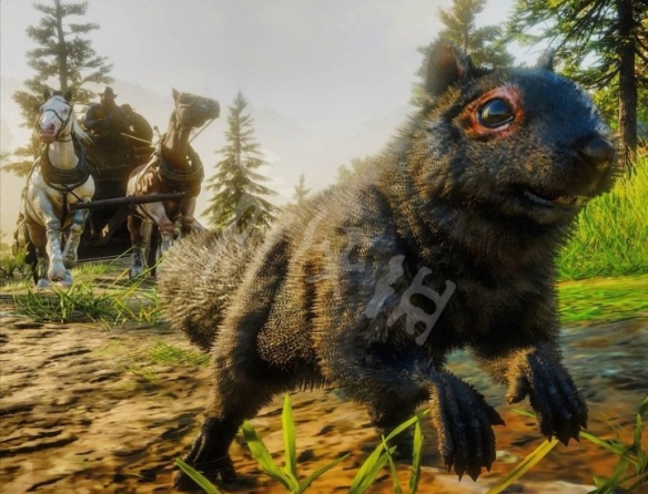 荒野大镖客2松鼠完美皮怎么打（荒野大镖客2怎么得到完美松鼠皮）