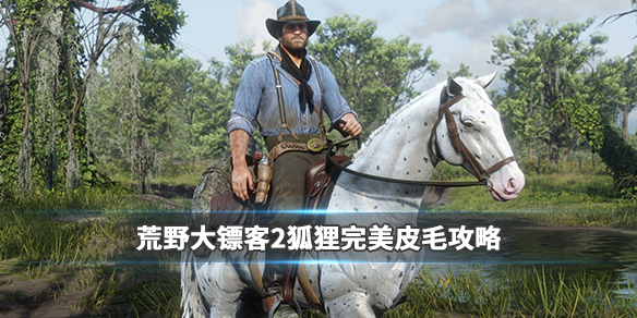 荒野大镖客2狐狸用什么枪打（荒野大镖客2狐狸怎么打）