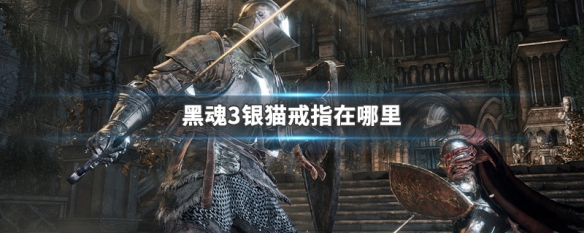 黑魂3银猫戒指在哪里（黑魂3银猫戒指在哪里获得）