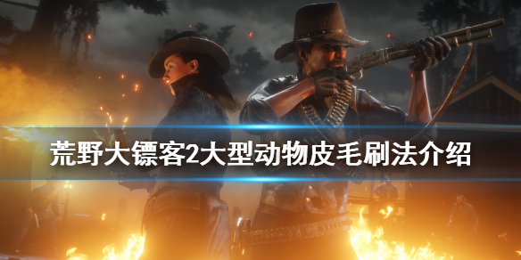 荒野大镖客2大型动物皮毛怎么刷 荒野大镖客2大型动物皮毛怎么刷新