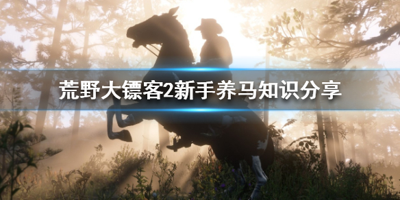 荒野大镖客2新手怎么养马 荒野大镖客2 如何喂马