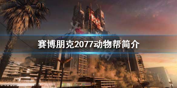 赛博朋克2077动物帮是做什么的 赛博朋克2077动物帮在哪