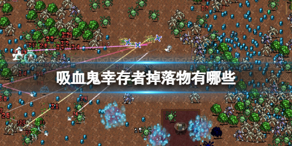 吸血鬼幸存者掉落物有哪些（吸血鬼幸存者掉落物有哪些图片）