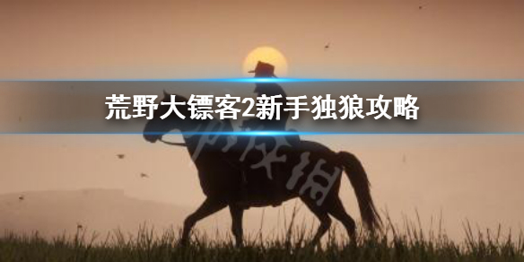 荒野大镖客2新手独狼怎么玩 荒野大镖客2线上模式独狼怎么玩