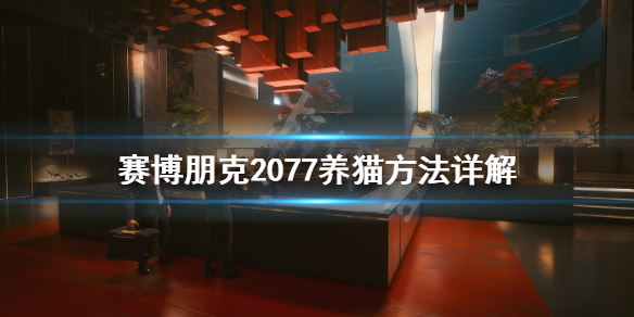 赛博朋克2077怎么养猫（赛博朋克2077养猫方法）