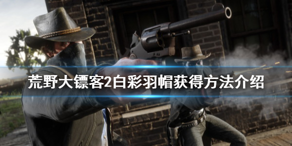 荒野大镖客2白彩羽帽怎么获得(荒野大镖客2白彩羽帽怎么获得视频)