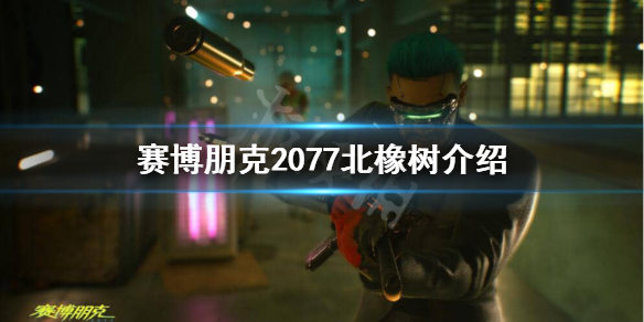 赛博朋克2077北橡树地区怎么样（赛博朋克2077 北橡区）