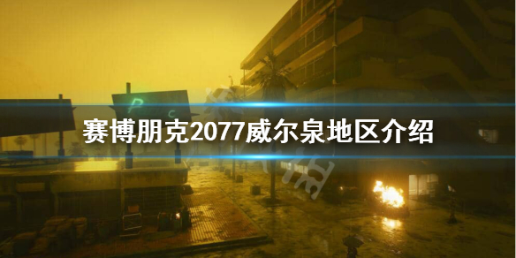 赛博朋克2077威尔泉怎么样 赛博朋克2077威尔斯酒吧