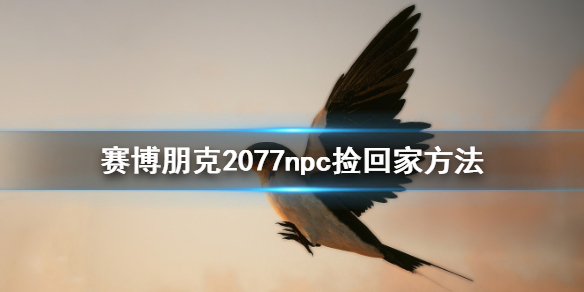 赛博朋克2077NPC怎么捡 赛博朋克2077npc攻略后能干嘛