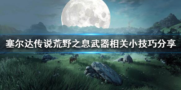 塞尔达传说荒野之息小技巧有哪些 塞尔达传说荒野之息技巧汇总全方面实用技巧...