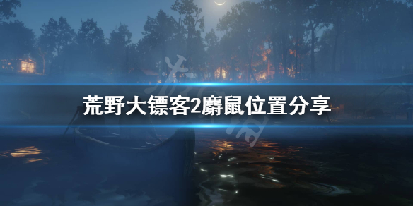 荒野大镖客2麝鼠在哪刷（荒野大镖客2刷松鼠）