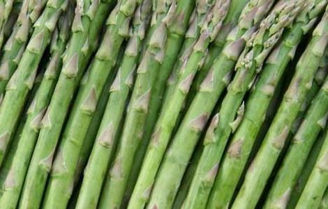 芦笋的产地有哪些地方?（芦笋的产地是哪里）