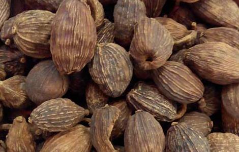 草果是什么（草果是什么东西）