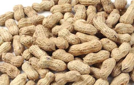 我国花生产地主要有哪些对方（花生产于什么地方）