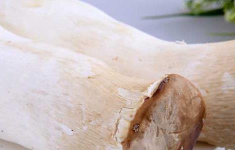 杏鲍菇的产地在哪里（杏鲍菇产地主要在哪个省）