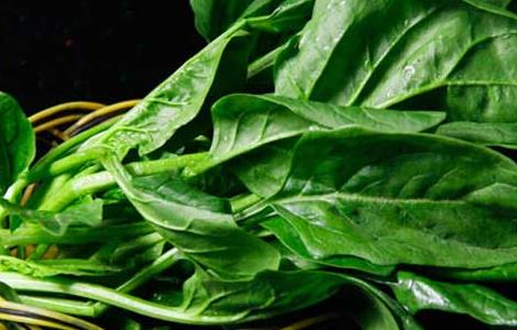菠菜不能和什么一起吃 菠菜和什么菜搭配是最佳