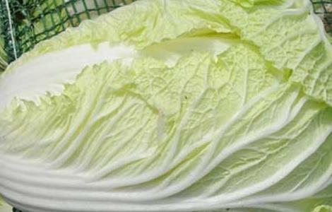 大白菜的产地分布有哪些 大白菜的产地分布有哪些地方