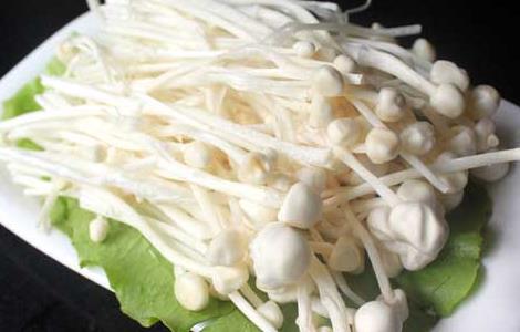 金针菇的产地分布(金针菇主要产地)