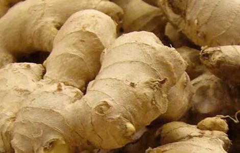 生姜的产地分布 中国生姜产地分布