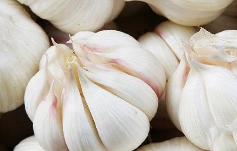 白皮蒜和紫皮蒜的区别（白皮蒜和紫皮蒜的区别图片）