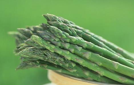 芦笋怎么种植（芦笋怎么种植?）
