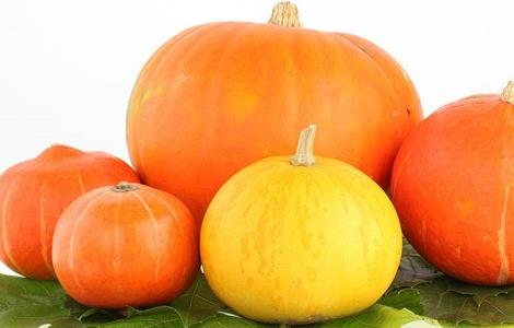 南瓜高产的种植方法 南瓜高产的种植方法图片