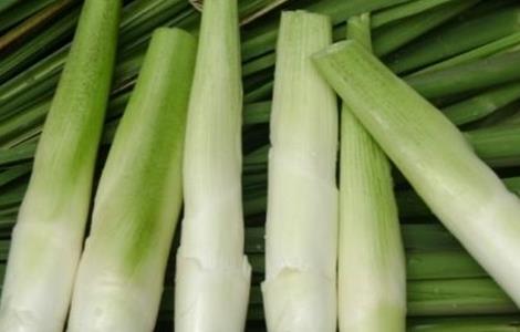 茭白的种植技术（茭白的种植技术要点）