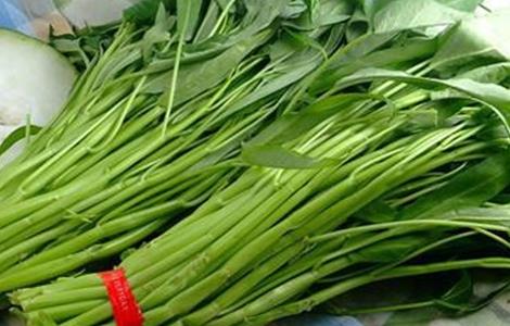 空心菜常见病害及防治（空心菜主要病害）