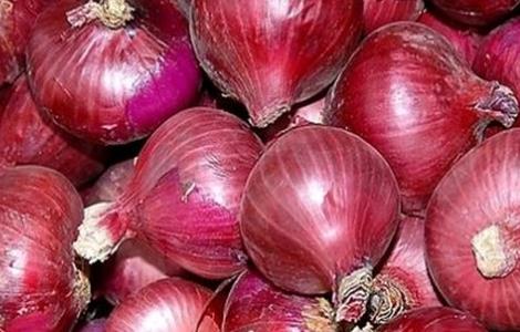 洋葱生长异常的原因 洋葱生长过旺