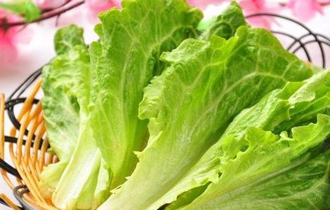 生菜怎么定植才能高产（生菜怎么定植才能高产呢）