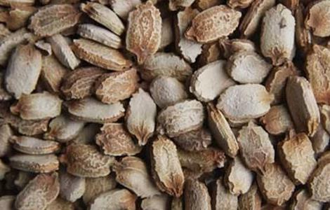 苦瓜种子快速催芽技术（苦瓜种子快速催芽技术）