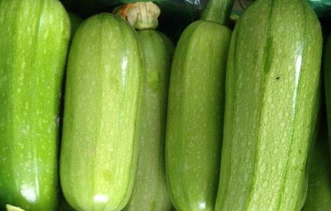 西葫芦田间管理技术 西葫芦田间管理技术培训