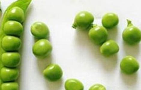 豌豆播种前种子处理方法 豌豆种子如何播种