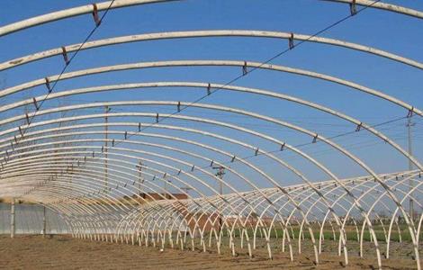 蔬菜大棚常见种植方式（蔬菜大棚常见种植方式有哪些）