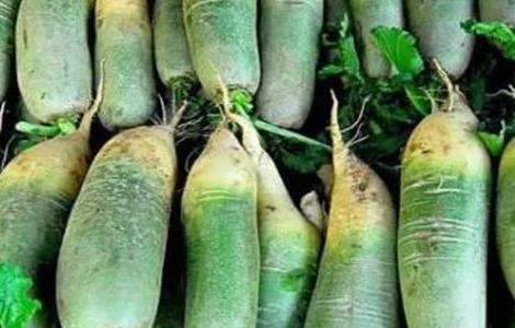 萝卜糠心原因及预防方法(怎样预防萝卜糠心)