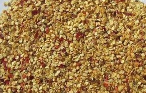 辣椒种植技术与管理 工业辣椒种植技术与管理