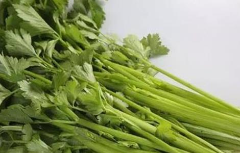 秋冬温室芹菜空心是什么原因（空心芹菜种植技术和种植时间）