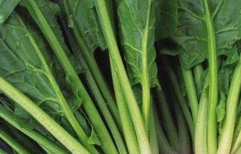 冬天菠菜如何长期保存 菠菜冬天怎么保存