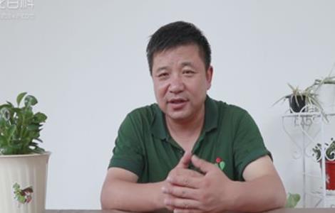 豆瓣绿叶子开裂怎么处理（豆瓣绿叶子开裂怎么处理好）