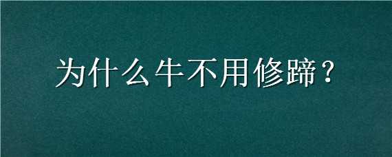 为什么牛不用修蹄（牛用不用修蹄）