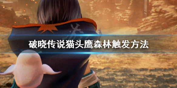 破晓传说猫头鹰森林去哪找（破晓传说猫头鹰之森找出一些猫头鹰）
