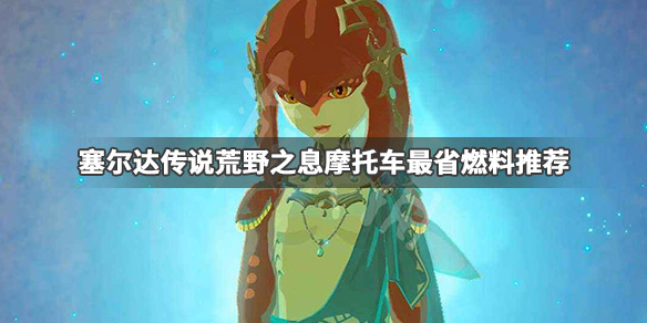 塞尔达传说荒野之息什么燃料最省（塞尔达荒野之息重要物品）