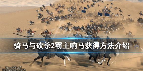 骑马与砍杀2响马怎么招（骑马与砍杀2 响马）