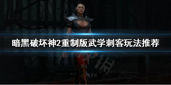 暗黑破坏神2重制版武学刺客怎么玩 暗黑破坏神2重制版武学刺客怎么玩的