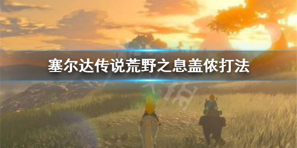 塞尔达传说荒野之息盖侬怎么打（塞尔达传说荒野之息盖侬怎么打视频）