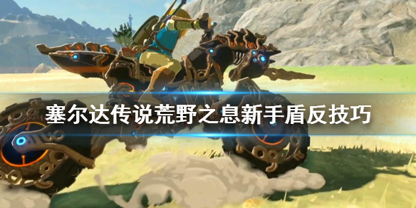 塞尔达传说荒野之息新手怎么练盾反（塞尔达荒野之息盾反技巧）