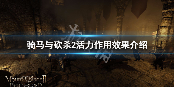 骑马与砍杀2活力属性有什么用（骑马与砍杀2活力和控制）