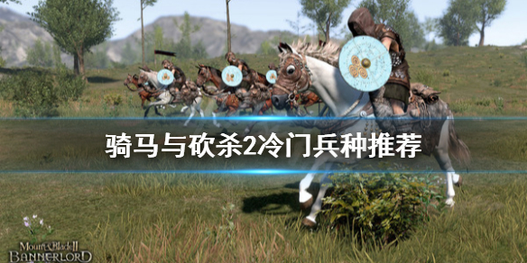 骑马与砍杀2冷门兵种推荐（骑马与砍杀2冷门兵种推荐攻略）